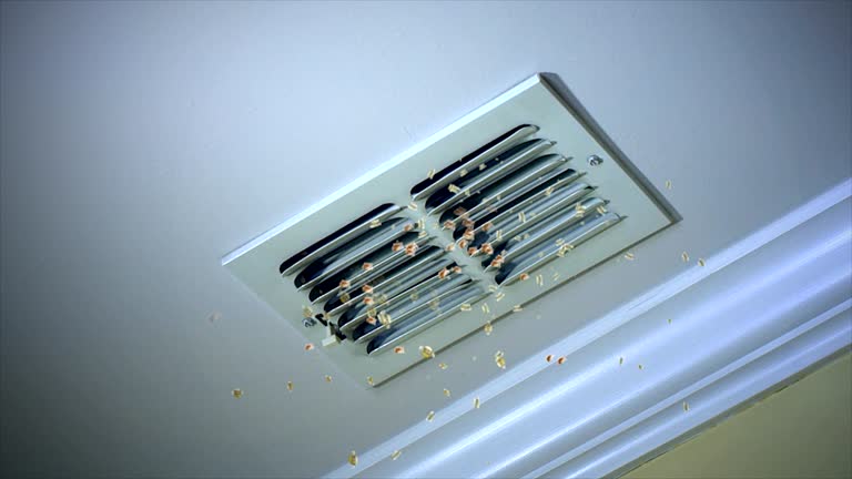 Best Best Air Duct Cleaning Company  in Baton Rouge, LA